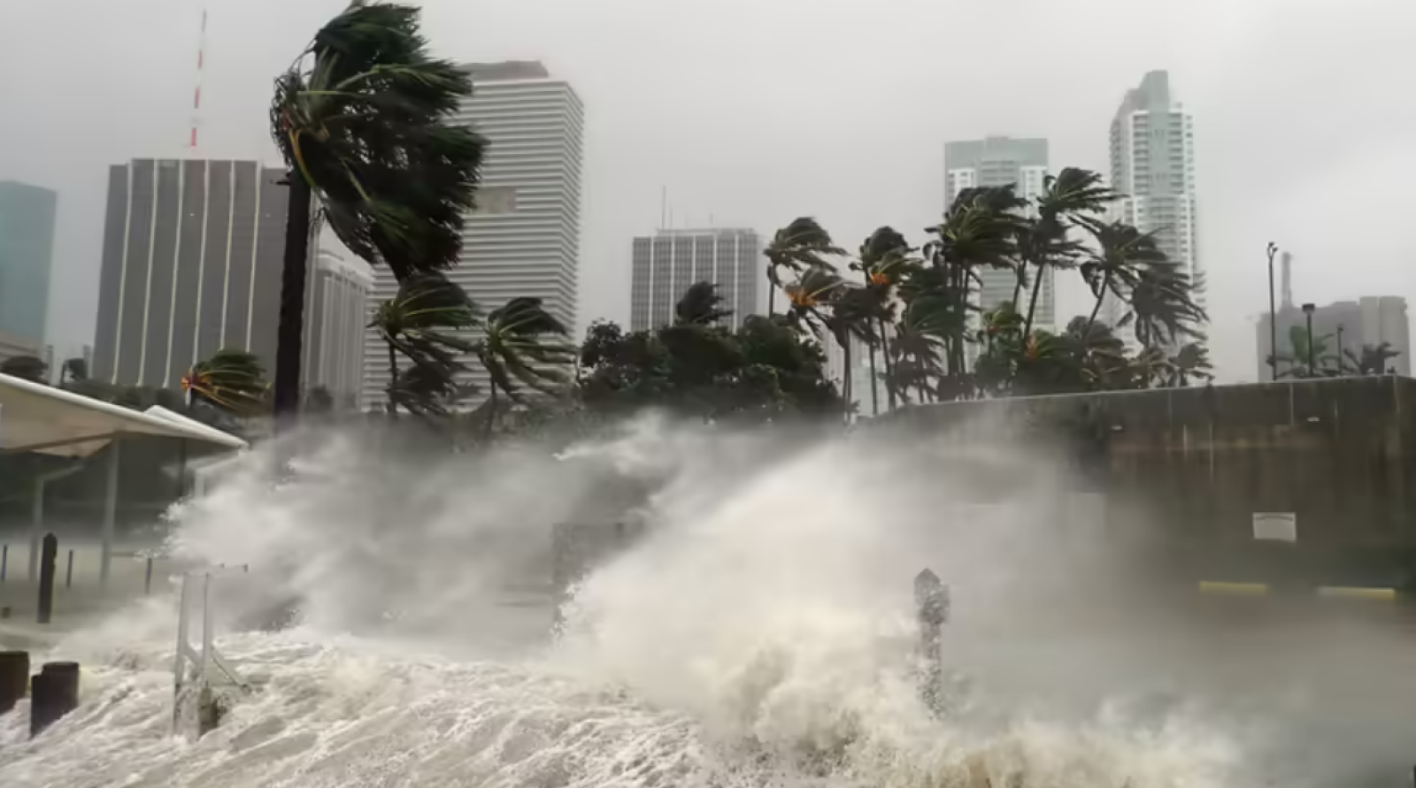 Hurricane-Proof Homes: How Miami’s Luxury Developers Are Reinventing Resilience
