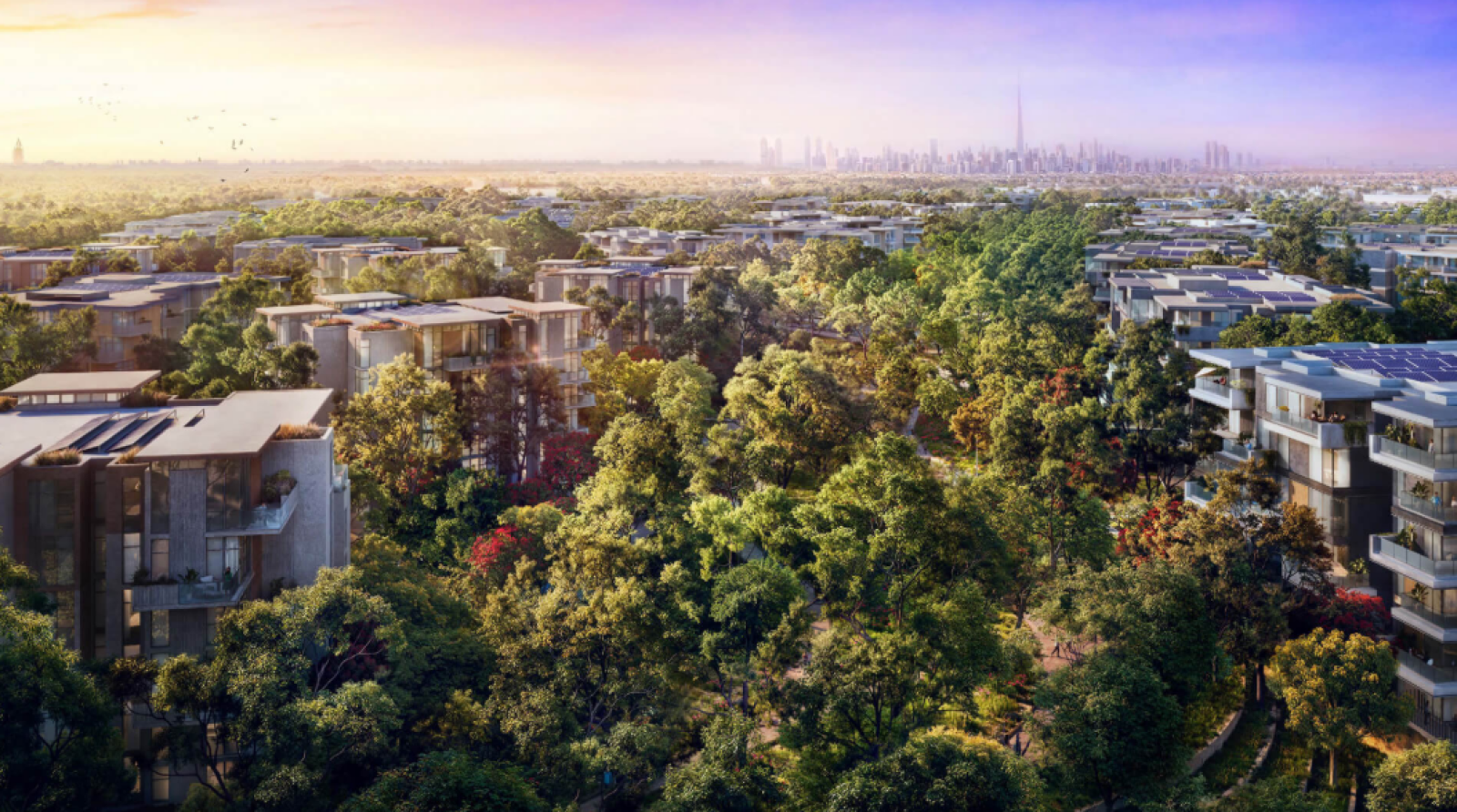 Green Metropolises: The Future of UAE Property Development