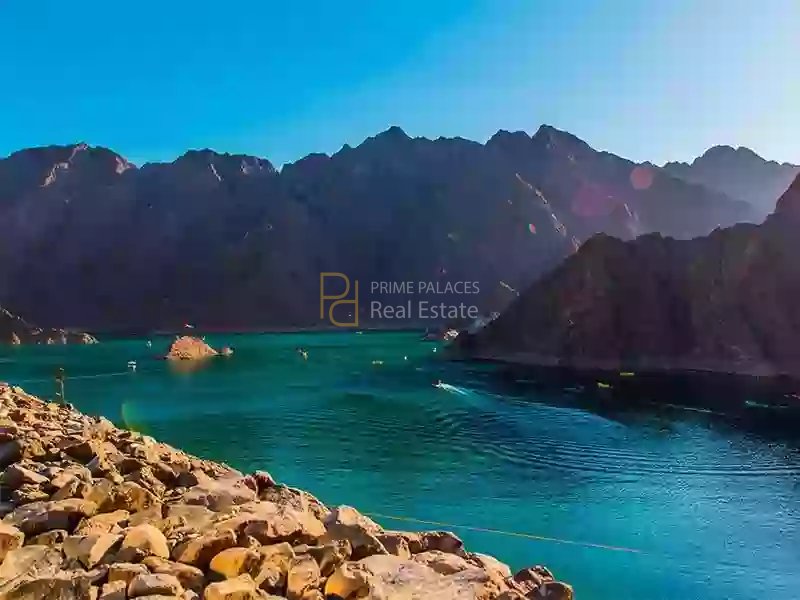 Umm Al Quwain Nature: The UAE’s Most Underrated Coastal Ecosystem