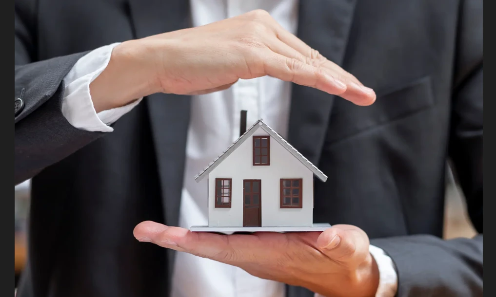 Property Management